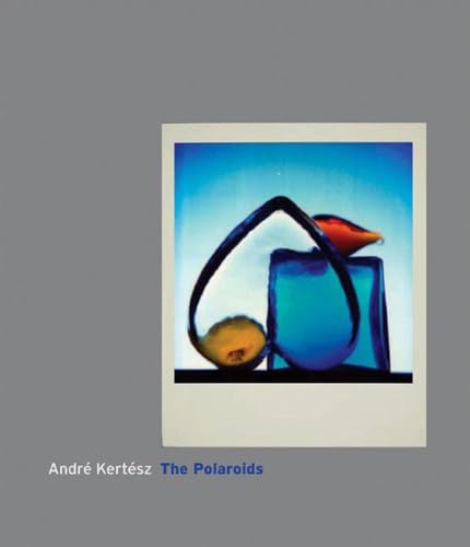 Andre Kertesz – The Polaroids - Kertesz, Andre/ Gurbo, Robert (Introduction by)/ Wolf, Eelco (Foreward By)