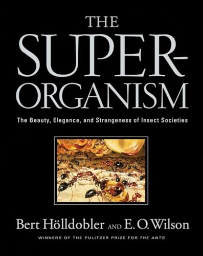 Beispielbild fr The Superorganism : The Beauty Elegance and Strangeness of Insect Societies zum Verkauf von Better World Books