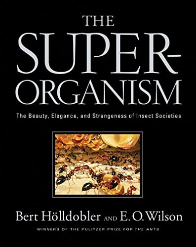 Imagen de archivo de The Superorganism : The Beauty Elegance and Strangeness of Insect Societies a la venta por Better World Books