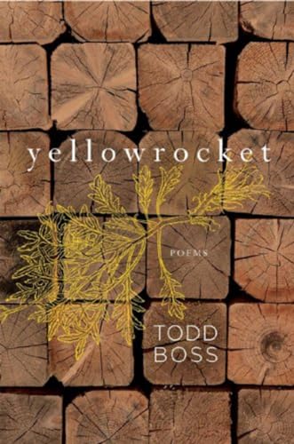 Beispielbild fr Yellowrocket: Poems zum Verkauf von Wonder Book