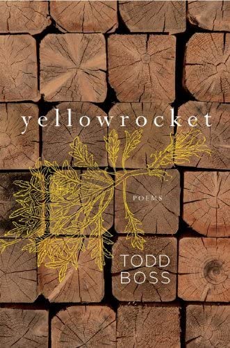 9780393067682: Yellowrocket – Poems