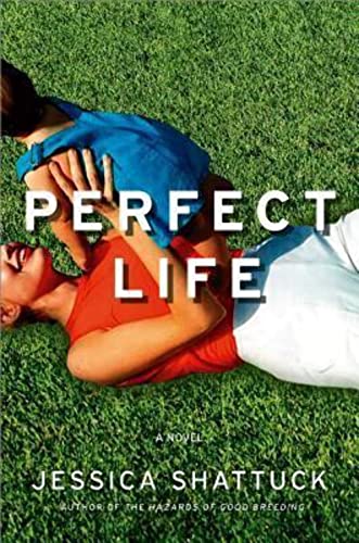 Beispielbild fr Perfect Life zum Verkauf von Better World Books