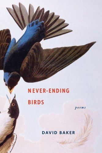 Beispielbild fr Never-Ending Birds : Poems zum Verkauf von Better World Books