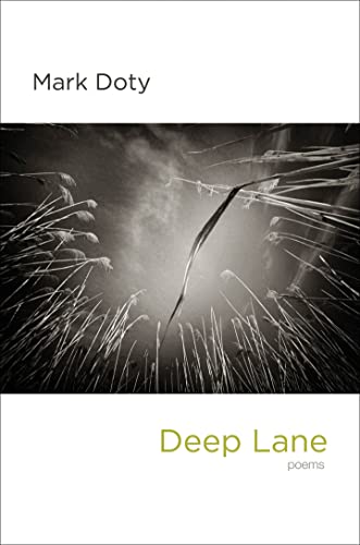 Beispielbild fr Deep Lane: Poems zum Verkauf von SecondSale