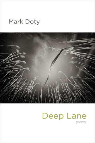 9780393070231: Deep Lane: Poems