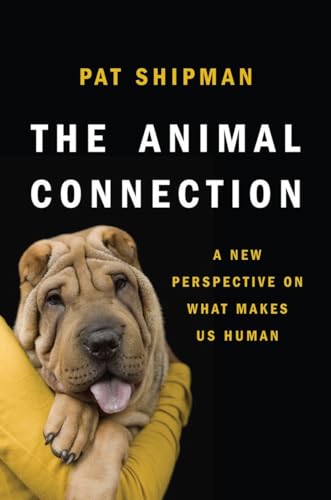 Stock image for The Animal Connection: A New Perspective on What Makes Us Human for sale by Reliant Bookstore