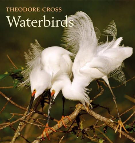 Imagen de archivo de Waterbirds a la venta por Solr Books