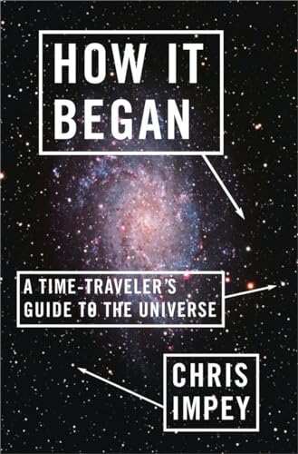 Imagen de archivo de How It Began: A Time-Traveler's Guide to the Universe a la venta por ZBK Books