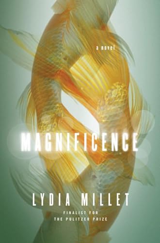 Stock image for Magnificence: A Novel for sale by More Than Words