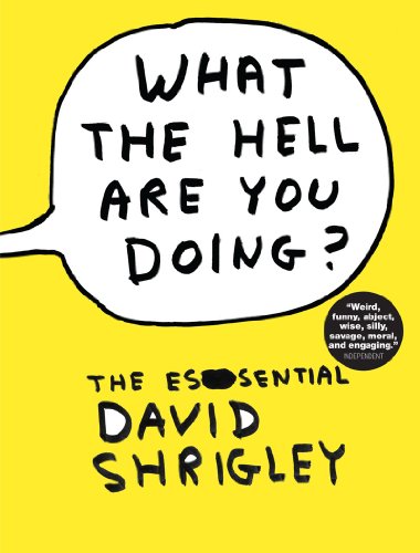 Beispielbild fr What the Hell Are You Doing?: The Essential David Shrigley zum Verkauf von SecondSale