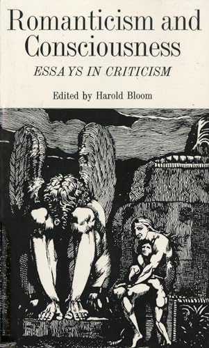 9780393099546: Romanticism and Consciousness: Essays in Criticism