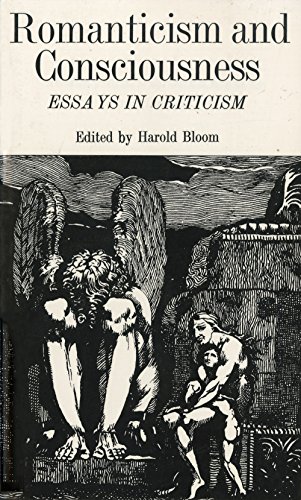 9780393099546: Romanticism and Consciousness: Essays in Criticism