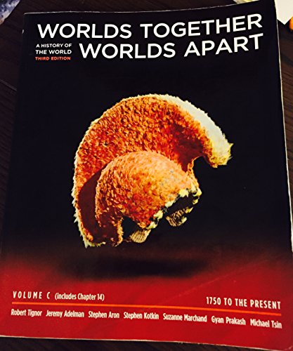 9780393136739: Worlds Together, Worlds Apart - Volume C and Chapter 14