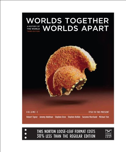 9780393156300: Worlds Together, Worlds Apart: 1750 to the Present