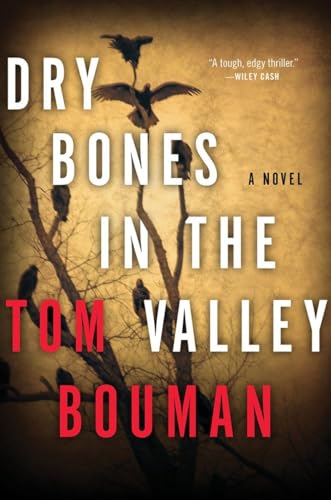 Beispielbild fr Dry Bones in the Valley: A Novel zum Verkauf von medimops