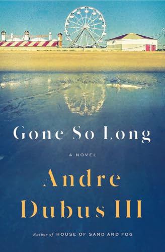9780393244106: Gone So Long: A Novel