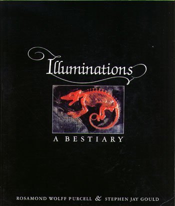 Stock image for Illuminations: A Bestiary for sale by Katsumi-san Co.