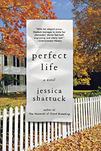 9780393304596: Perfect Life – A Novel
