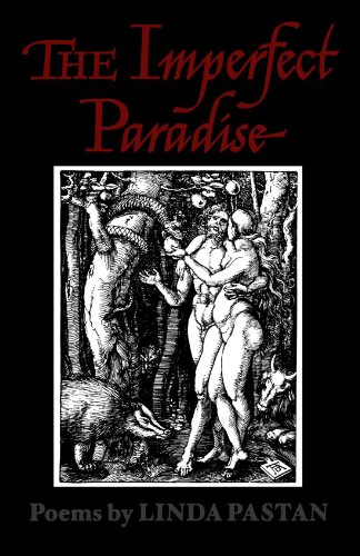 Imagen de archivo de The Imperfect Paradise a la venta por BooksRun
