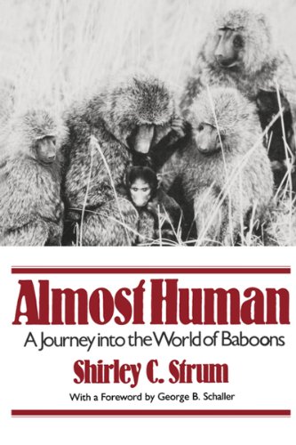 Beispielbild fr Almost Human: A Journey Into the World of Baboons zum Verkauf von Wonder Book