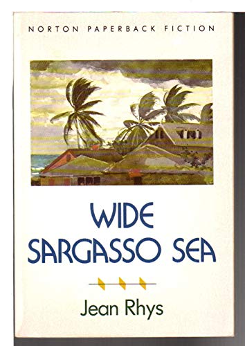 Stock image for Wide Sargasso Sea: A Novel (Norton Paperback Fiction) for sale by Caspian Books