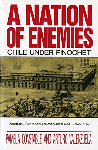 Imagen de archivo de A Nation of Enemies: Chile Under Pinochet (Norton Paperback) a la venta por Wonder Book