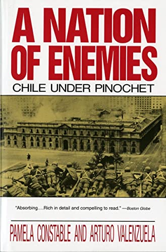 9780393309850: A Nation of Enemies: Chile Under Pinochet (Norton Paperback)