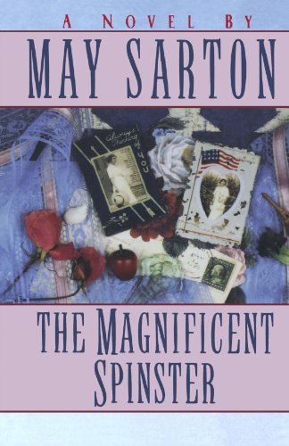 9780393312492: The Magnificent Spinster Reissue