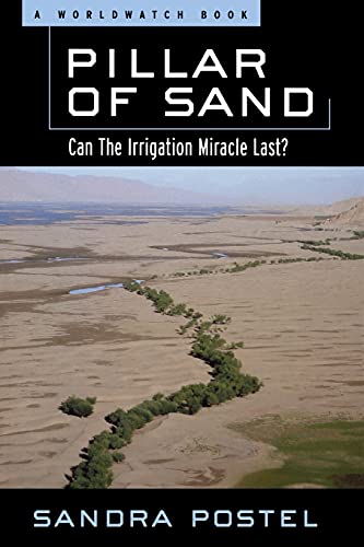 Imagen de archivo de Pillar of Sand : Can the Irrigation Miracle Last a la venta por Better World Books