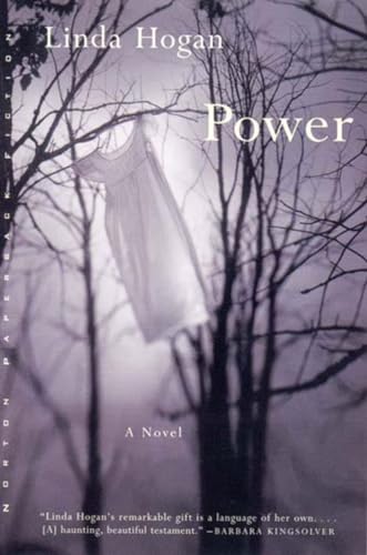 Stock image for Power: A Novel (Norton Paperback Fiction) for sale by Isle of Books