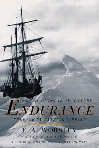 Imagen de archivo de Endurance a la venta por SecondSale
