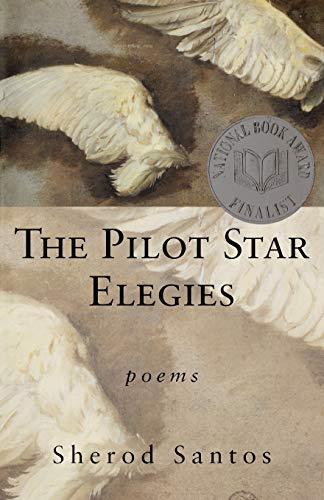 Stock image for The Pilot Star Elegies: Poems for sale by ThriftBooks-Atlanta