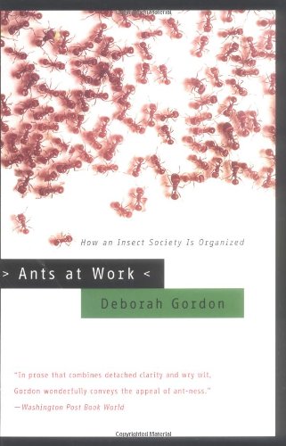 Beispielbild fr Ants at Work: How an Insect Society is Organized zum Verkauf von BooksRun