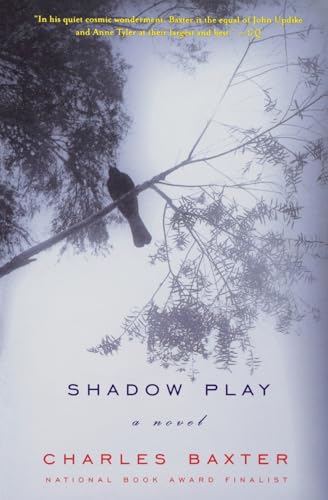 Stock image for Shadow Play: A Novel (Norton Paperback) for sale by Wonder Book