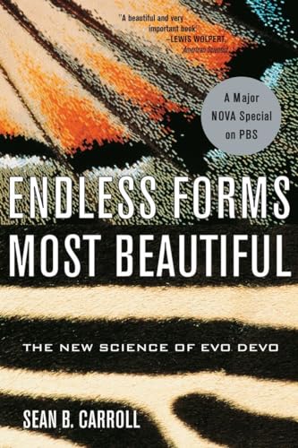 Imagen de archivo de Endless Forms Most Beautiful: The New Science of Evo Devo a la venta por SecondSale