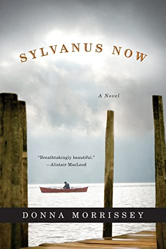 Stock image for Sylvanus Now: A Novel for sale by Wonder Book