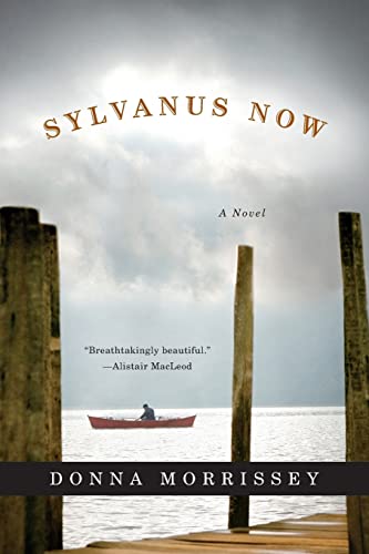 9780393328691: Sylvanus Now: A Novel