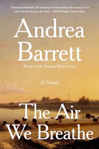 Beispielbild fr The Air We Breathe: A Novel zum Verkauf von Wonder Book