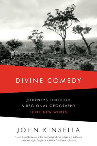 Imagen de archivo de Divine Comedy: Journeys Through a Regional Geography: Three New Works a la venta por WorldofBooks