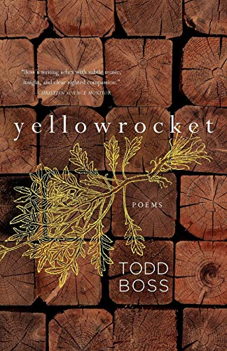 Beispielbild fr Yellowrocket: Poems zum Verkauf von BooksRun