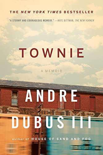 9780393340679: Townie: A Memoir