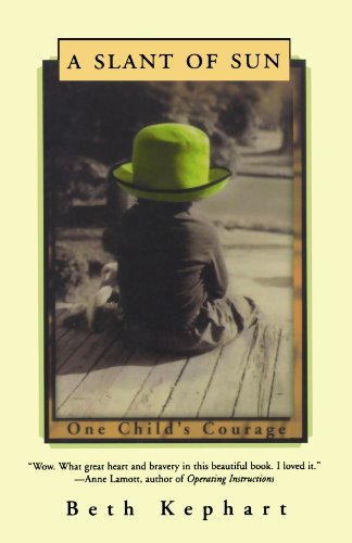 9780393340983: A Slant of Sun: One Child's Courage
