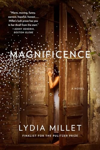 Stock image for Magnificence: A Novel for sale by Bellwetherbooks