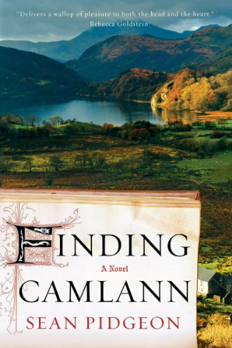 Imagen de archivo de Finding Camlann: A Novel a la venta por Wonder Book