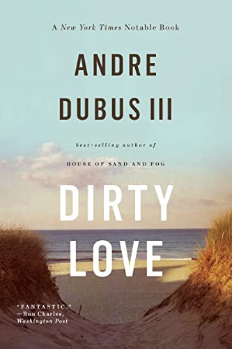 Beispielbild fr Dirty Love zum Verkauf von Your Online Bookstore
