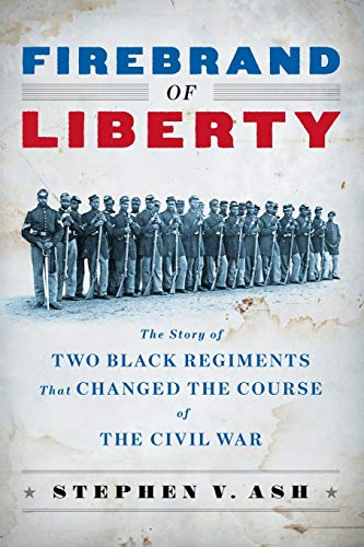 9780393349610: Firebrand of Liberty: The Story of Two Black Regiments That Changed the Course of the Civil War