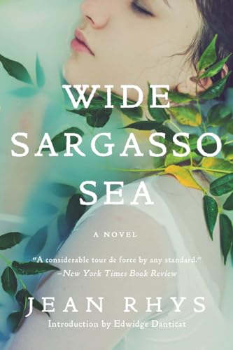 Beispielbild fr Wide Sargasso Sea zum Verkauf von New Legacy Books