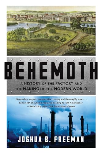 Stock image for Behemoth: A History of the Factory and the Making of the Modern World for sale by Open Books