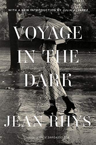 Stock image for Voyage in the Dark: A Novel for sale by Lakeside Books
