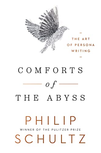 9780393531848: Comforts of the Abyss: The Art of Persona Writing